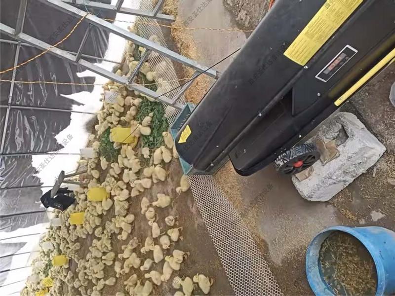 养殖育雏暖风机 (1).jpg