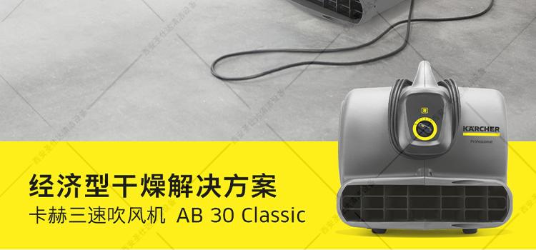 AB 30 Classic吹干机吹地机1.jpg