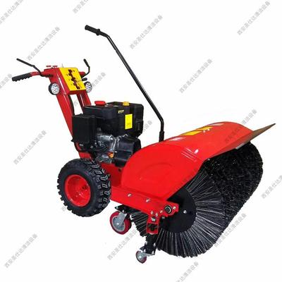 8919手扶式扫雪机