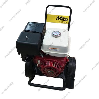 M25/15B汽油机驱动高压清洗机