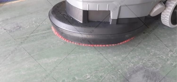 bd5050-2.jpg